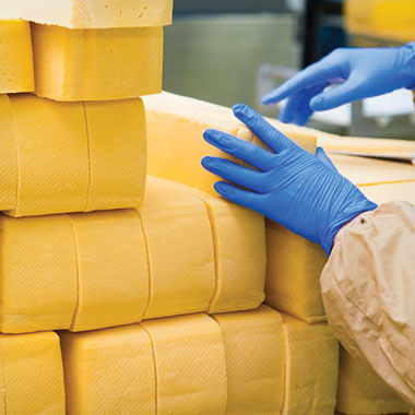 En medarbejder stabler blokke af ost på et mejeri. I mejeriindustrien kan TOC-analysatorer hjælpe med at overvåge organisk affald fra spildevand og reducere produkttab.
