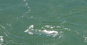 Rohwasser