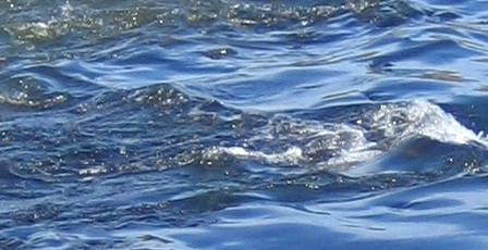 Oberflächenwasser